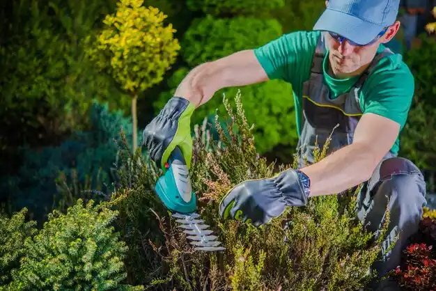 landscaping services Viola